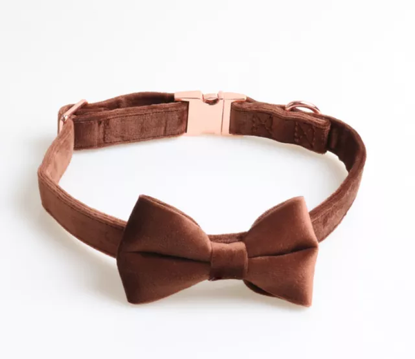 Velvet Dog Collar with Detachable Bowtie