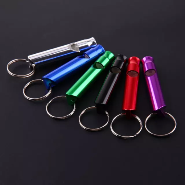 Training Keyring Whistle