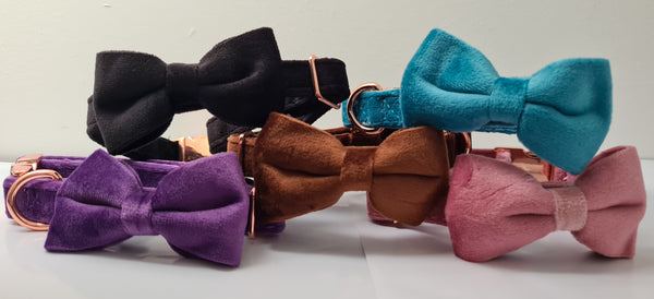 Velvet Dog Collar with Detachable Bowtie