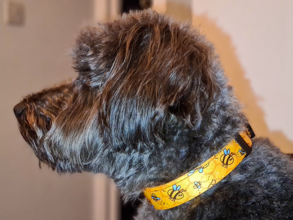 Bee Dog Collar