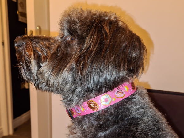 Donut Dog Collar