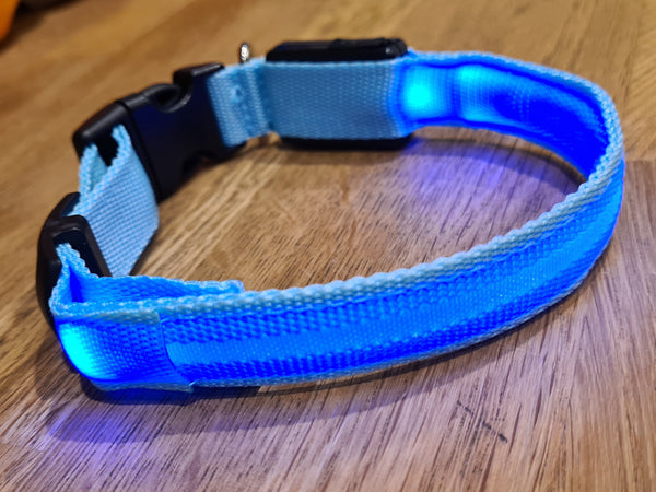 USB Rechargeable LED Dog Collar