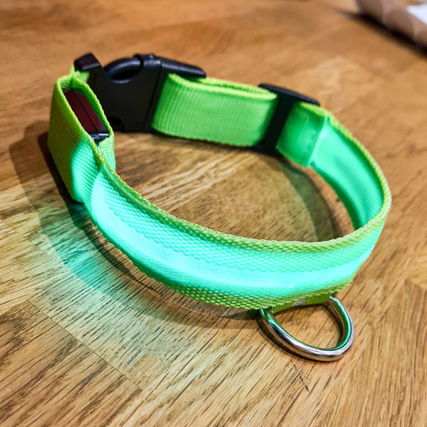 USB Rechargeable LED Dog Collar