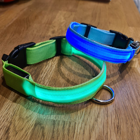 USB Rechargeable LED Dog Collar