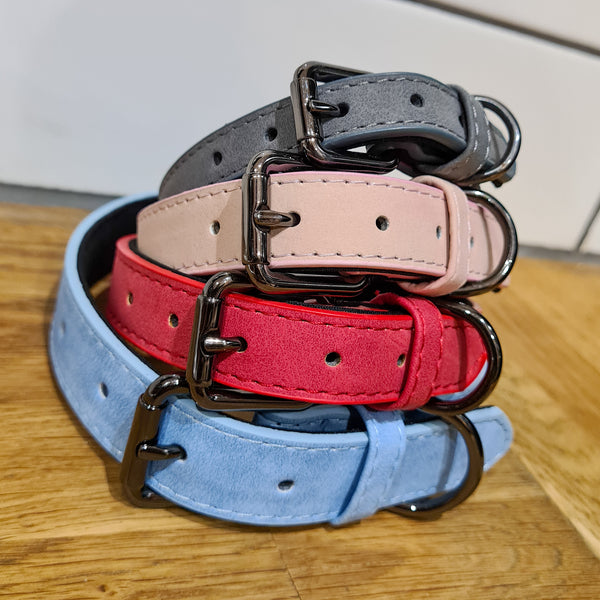 Soft Leather Traditional Buckle Collar