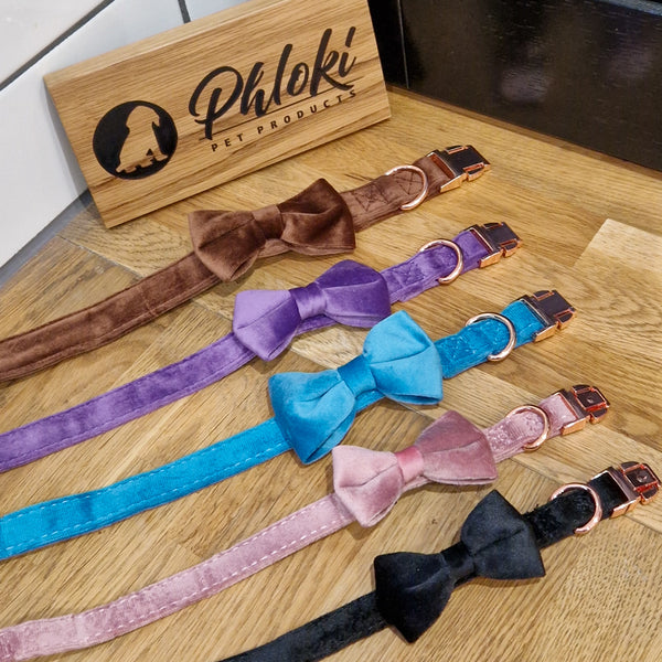 Velvet Dog Collar with Detachable Bowtie