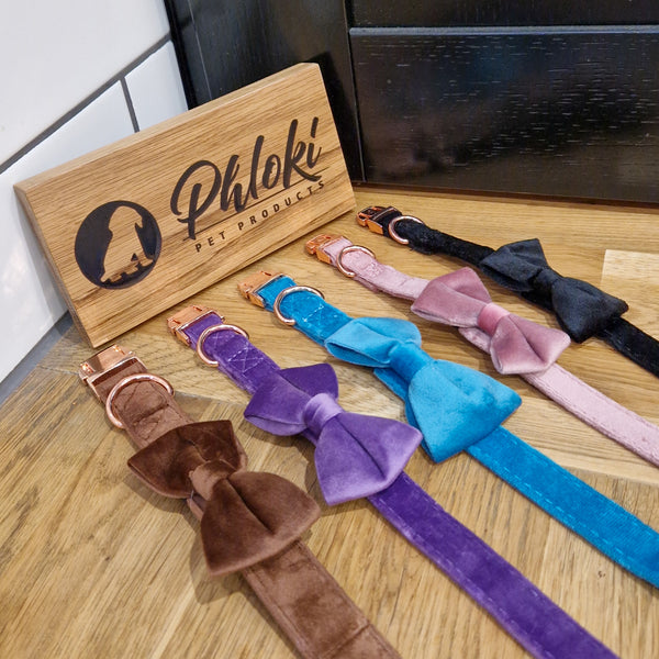 Velvet Dog Collar with Detachable Bowtie